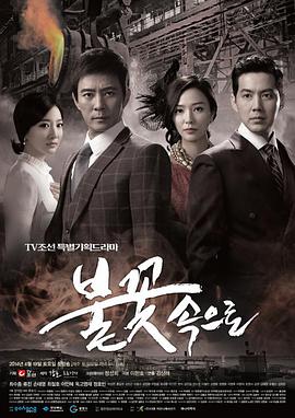 常州seo优化策划报价